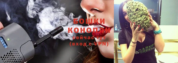 твердый Белокуриха