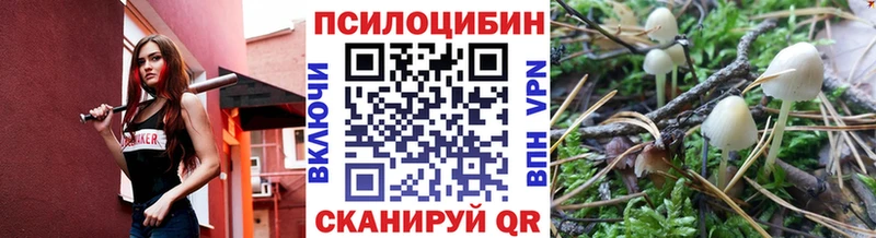 маркетплейс как зайти  Воркута  Галлюциногенные грибы Cubensis  OMG ссылки 